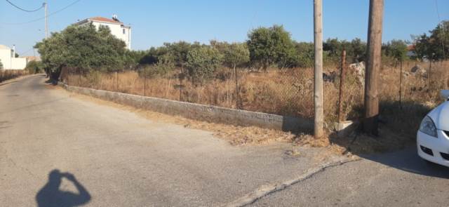 (For Sale) Land Plot || Chania/Akrotiri - 1.198 Sq.m, 85.000€ 