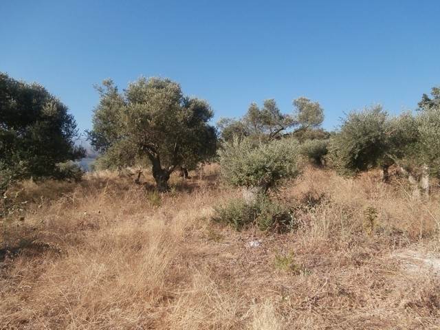 (For Sale) Land Plot || Chania/Therisos - 2.519 Sq.m, 140.000€ 