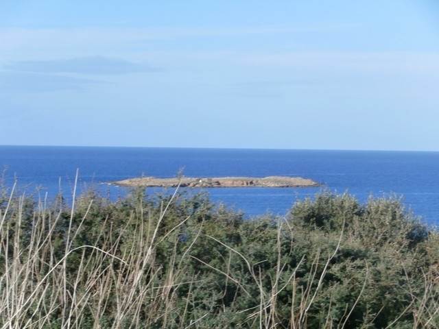 (For Sale) Land Plot || Chania/Nea Kydonia - 4.625 Sq.m, 2.900.000€ 