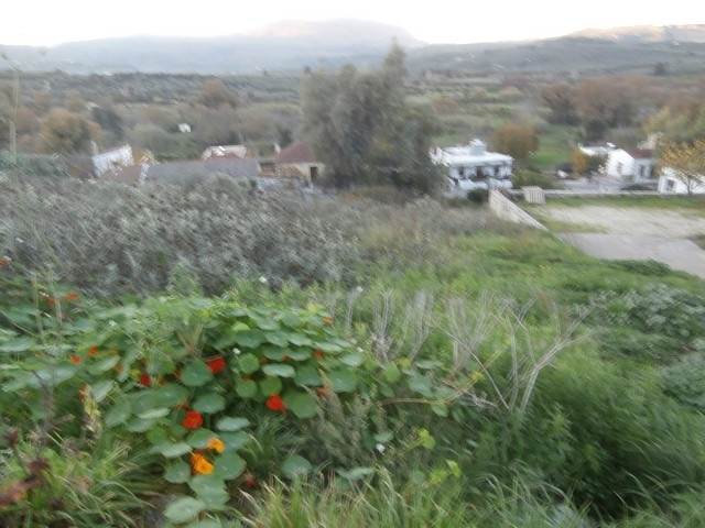 (For Sale) Land Plot || Chania/Armenoi - 1.173 Sq.m, 55.000€ 