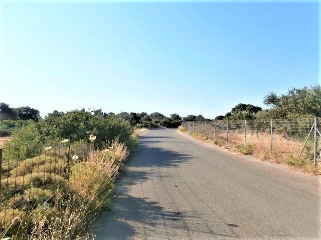 (For Sale) Land Plot || Chania/Akrotiri - 2.802 Sq.m, 70.000€ 