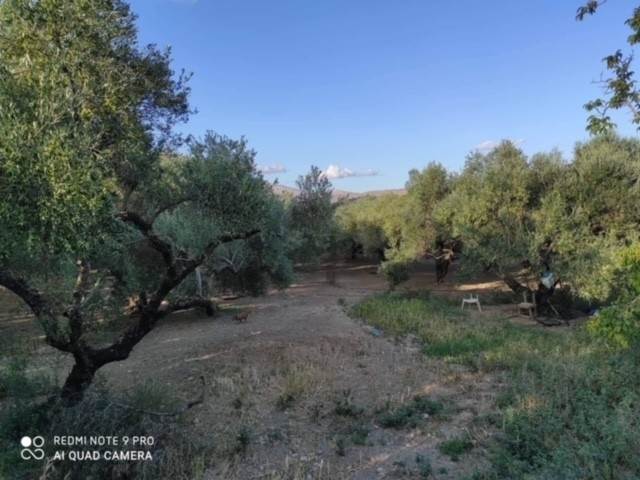 (For Sale) Land Plot || Chania/Kissamos - 2.020 Sq.m, 450.000€ 