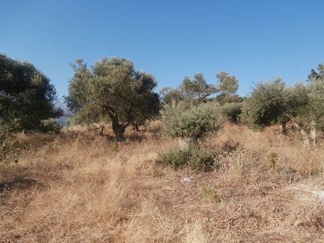 (Προς Πώληση) Αξιοποιήσιμη Γη Οικόπεδο || Ν. Χανίων/Θέρισος - 2.519 τ.μ, 140.000€ 