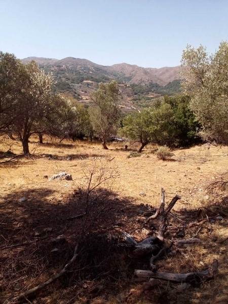 (For Sale) Land Plot || Rethymno/Lampi - 8.377 Sq.m, 40.000€ 