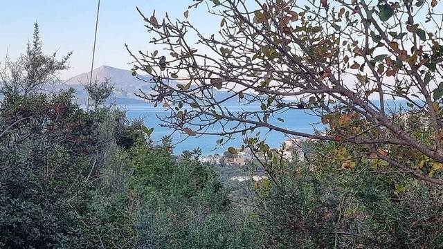 (For Sale) Land Plot || Chania/Vamos - 2.561 Sq.m, 105.000€ 