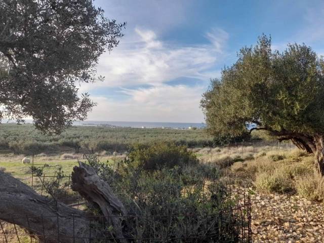 (For Sale) Land Plot || Chania/Kissamos - 5.199 Sq.m, 230.000€ 