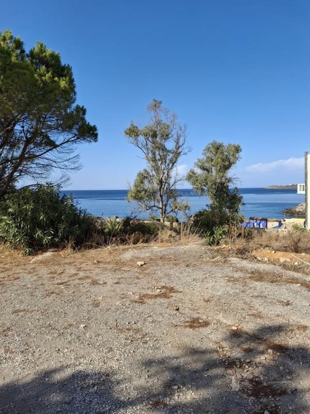 (For Sale) Land Plot || Chania/Akrotiri - 1.242 Sq.m, 450.000€ 