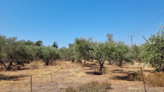 (For Sale) Land Plot || Chania/Souda - 6.141 Sq.m, 270.000€ 