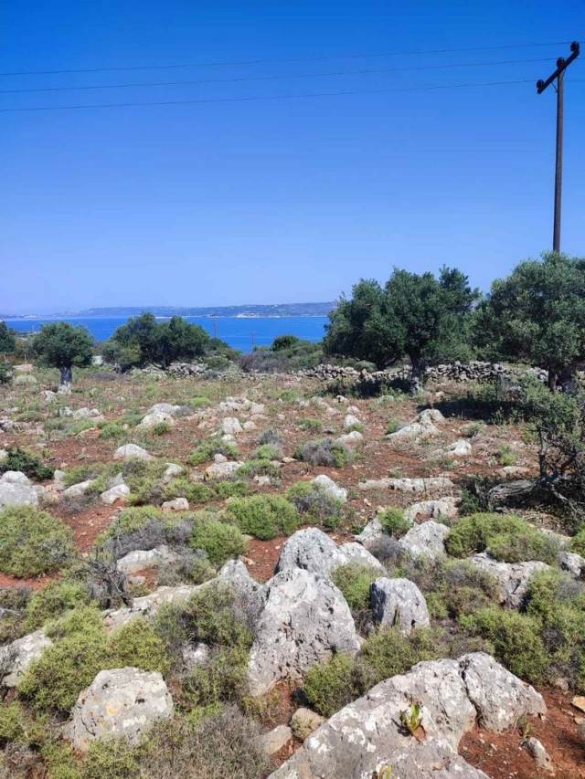 (For Sale) Land Plot || Chania/Vamos - 2.925 Sq.m, 200.000€ 