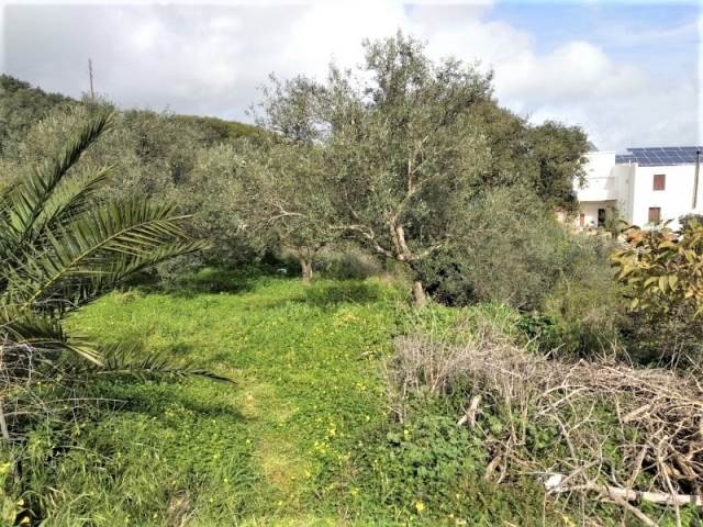 (For Sale) Land Plot || Chania/Kolymvari - 1.259 Sq.m, 65.000€ 