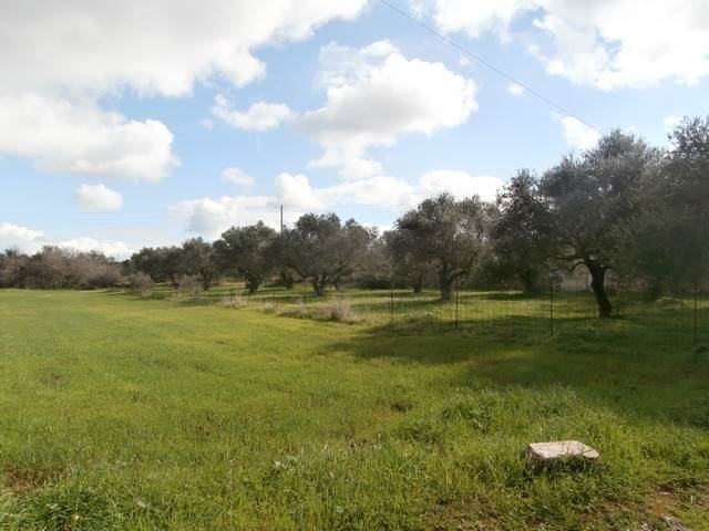 (For Sale) Land Plot || Chania/Akrotiri - 4.720 Sq.m, 95.000€ 