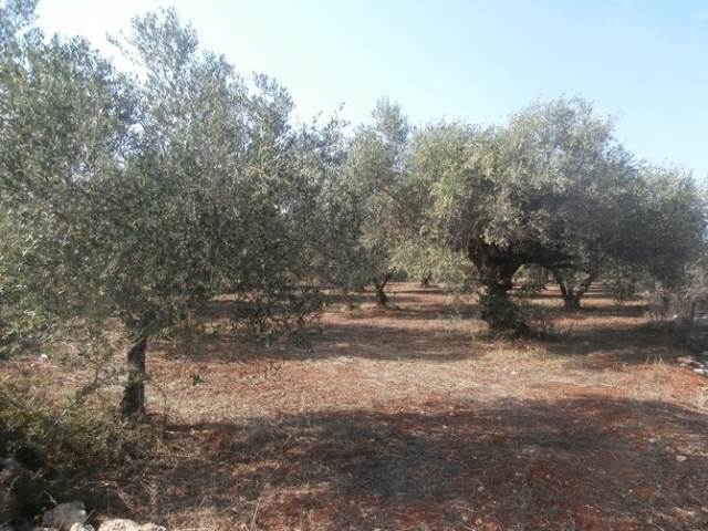 (For Sale) Land Agricultural Land  || Chania/Akrotiri - 1.222 Sq.m, 20.000€ 