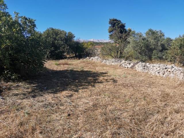 (For Sale) Land Plot || Chania/Vamos - 1.289 Sq.m, 95.000€ 