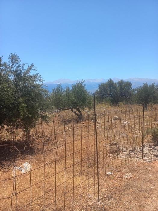 (For Sale) Land Plot || Chania/Vamos - 2.196 Sq.m, 125.000€ 