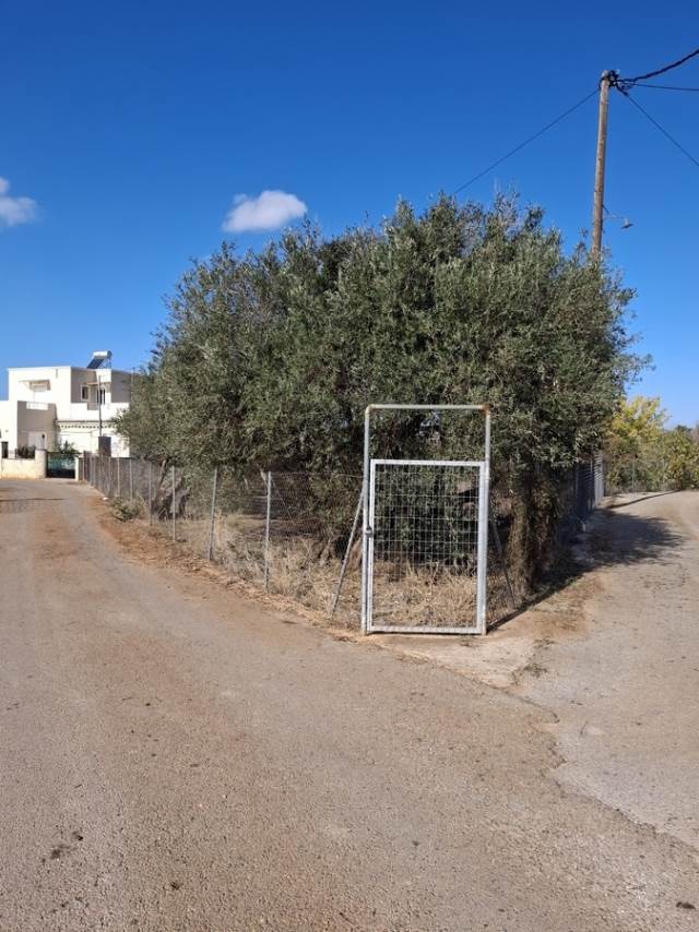 (Προς Πώληση) Αξιοποιήσιμη Γη Οικόπεδο || Ν. Χανίων/Ακρωτήρι - 1.131 τ.μ, 120.000€ 