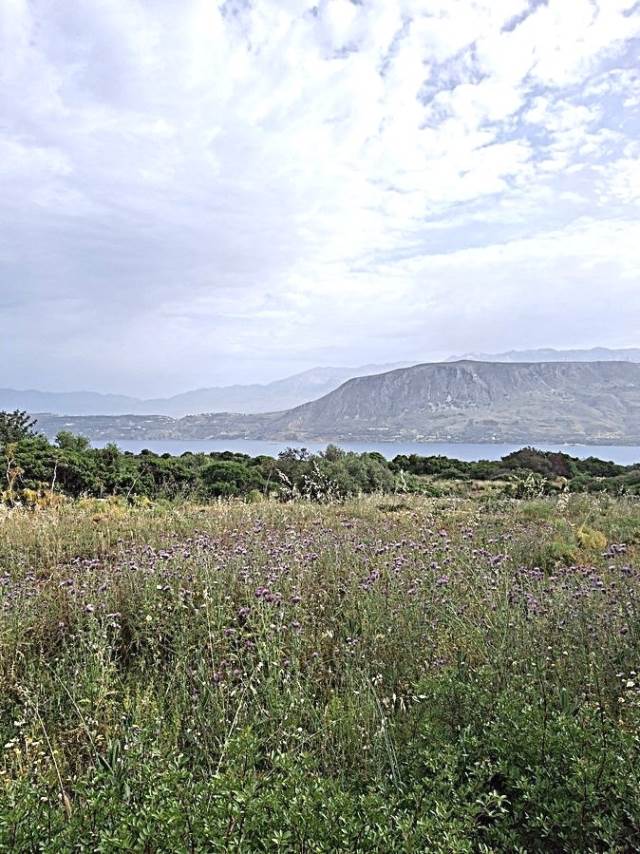 (Προς Πώληση) Αξιοποιήσιμη Γη Οικόπεδο || Ν. Χανίων/Ακρωτήρι - 1.601 τ.μ, 270.000€ 
