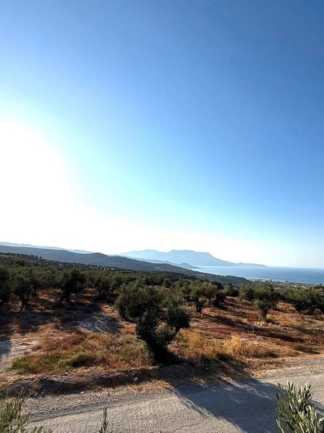 (Προς Πώληση) Αξιοποιήσιμη Γη Οικόπεδο || Ν. Χανίων/Κίσσαμος - 2.317 τ.μ, 150.000€ 