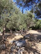 slide1 thumbnail
