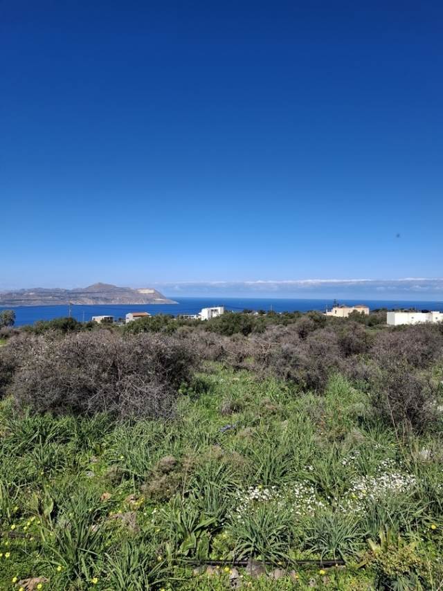 (For Sale) Land Plot || Chania/Vamos - 3.651 Sq.m, 300.000€ 