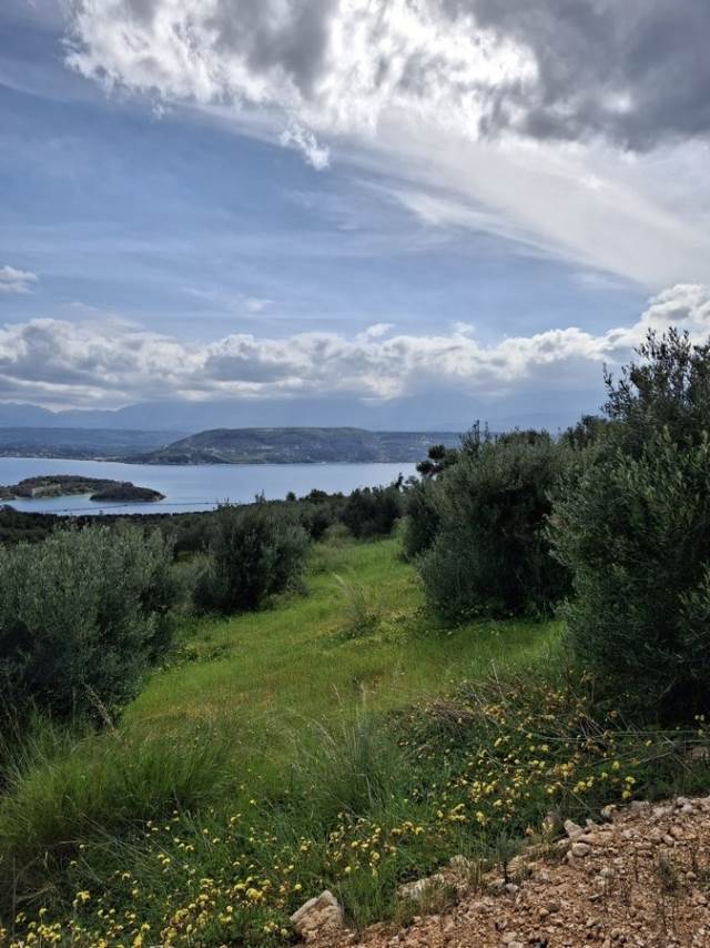 (Προς Πώληση) Αξιοποιήσιμη Γη Οικόπεδο || Ν. Χανίων/Ακρωτήρι - 6.737 τ.μ, 375.000€ 