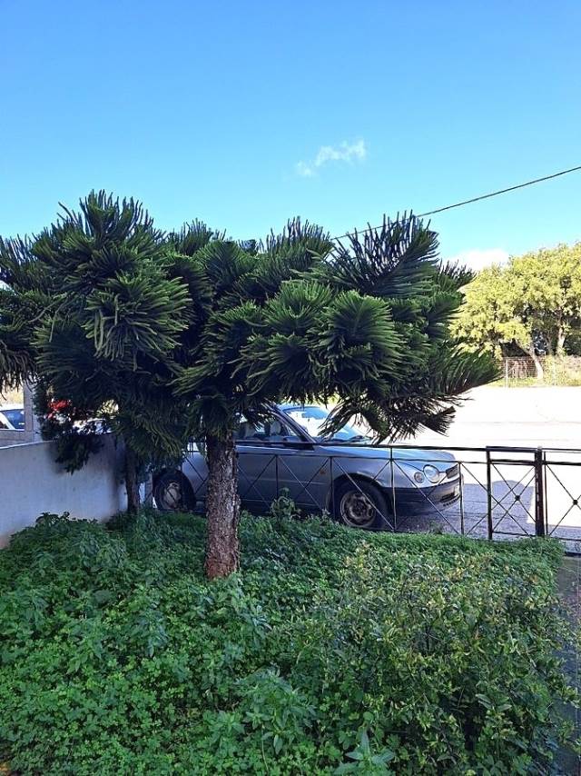 (Προς Πώληση) Κατοικία Διαμέρισμα || Ν. Χανίων/Ακρωτήρι - 77 τ.μ, 2 Υ/Δ, 205.000€ 