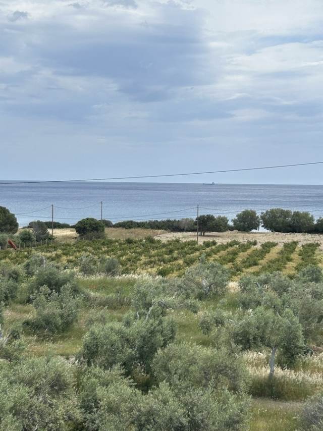 (Προς Πώληση) Αξιοποιήσιμη Γη Παραθαλασσιο || Ν. Χανίων/Πελεκάνος - 11.987 τ.μ, 890.000€ 