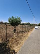 slide1 thumbnail