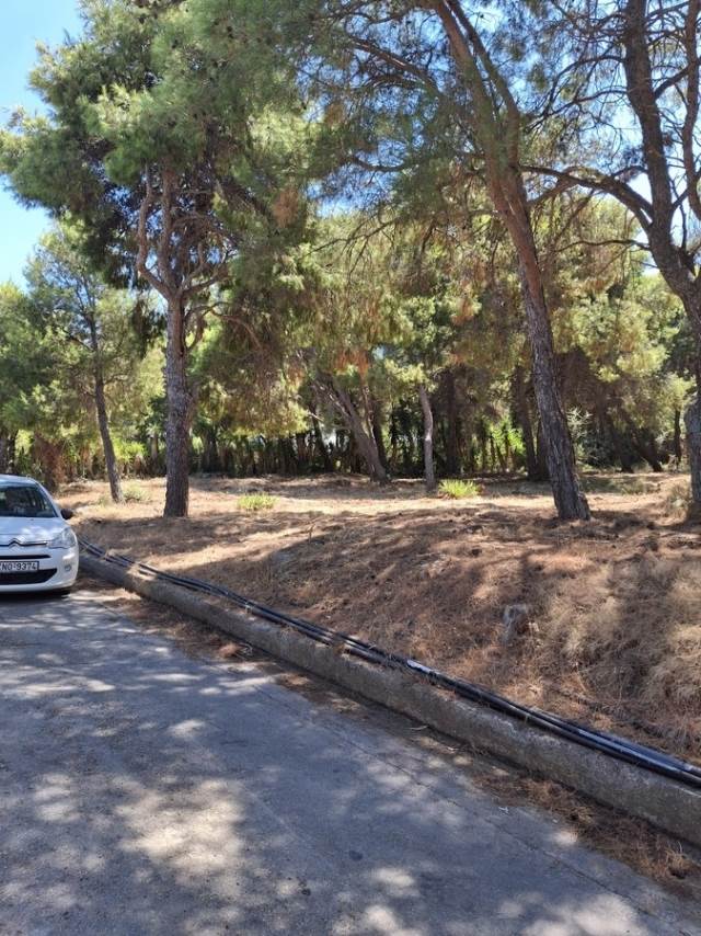 (Προς Πώληση) Αξιοποιήσιμη Γη Οικόπεδο || Ν. Χανίων/Ακρωτήρι - 27.656 τ.μ, 2.900.000€ 