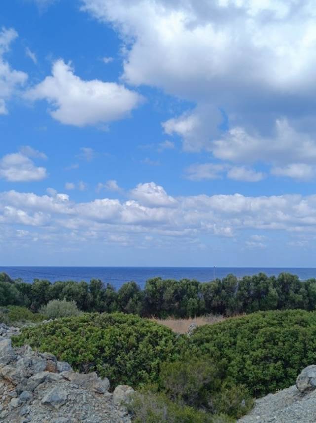 (Προς Πώληση) Αξιοποιήσιμη Γη Οικόπεδο || Ν. Χανίων/Ακρωτήρι - 4.625 τ.μ, 430.000€ 