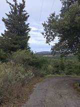 slide1 thumbnail