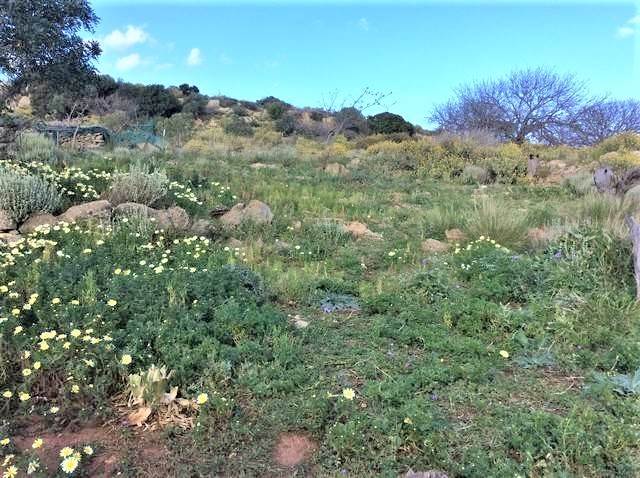 (For Sale) Land Plot || Chania/Kolymvari - 518 Sq.m, 50.000€ 