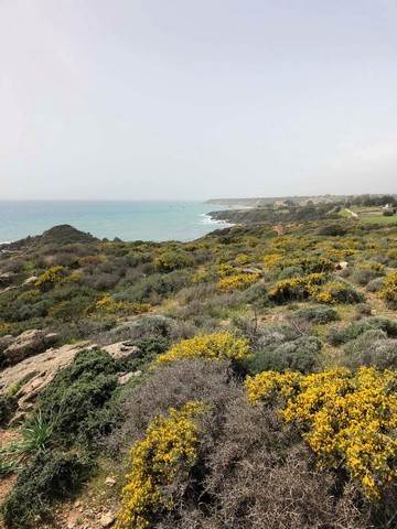 (For Sale) Land  || Chania/Sfakia - 47.312 Sq.m, 1.200.000€ 