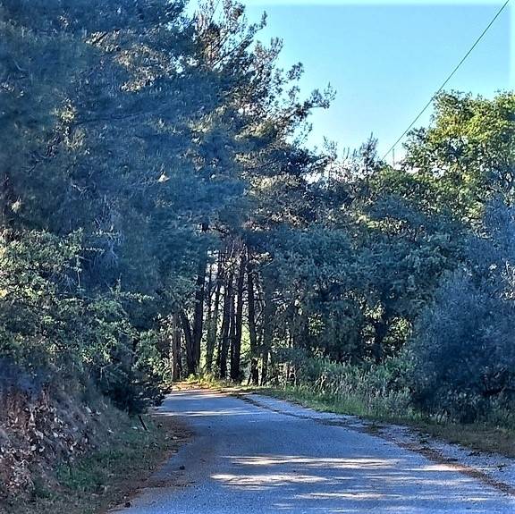 (Προς Πώληση) Αξιοποιήσιμη Γη Οικόπεδο || Ν. Χανίων/Θέρισος - 1.039 τ.μ, 58.000€ 