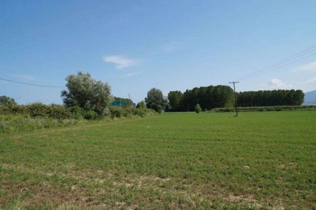 (For Sale) Land  || Pieria/Litochoro - 43.500 Sq.m, 2.200.000€ 